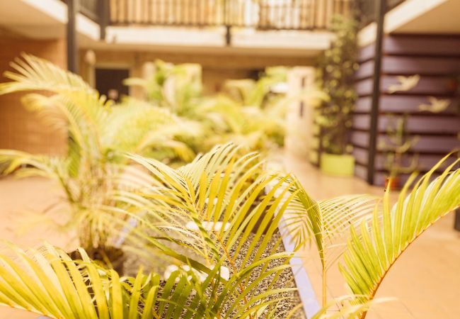 Apartahotel en Saline les Bains - 06 - LE VACOA - CHAMBRE 6 Rdc D Apartahotel en Saline les Bains - 06 - LE VACOA - CHAMBRE 6 Rdc D