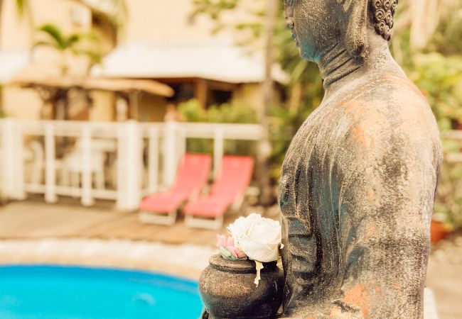 Apartahotel en Saline les Bains - 11 - LE VACOA - CHAMBRE 11  ETG G Apartahotel en Saline les Bains - 11 - LE VACOA - CHAMBRE 11  ETG G