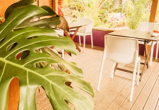 Apartahotel en Saline les Bains - 11 - LE VACOA - CHAMBRE 11  ETG G Apartahotel en Saline les Bains - 11 - LE VACOA - CHAMBRE 11  ETG G